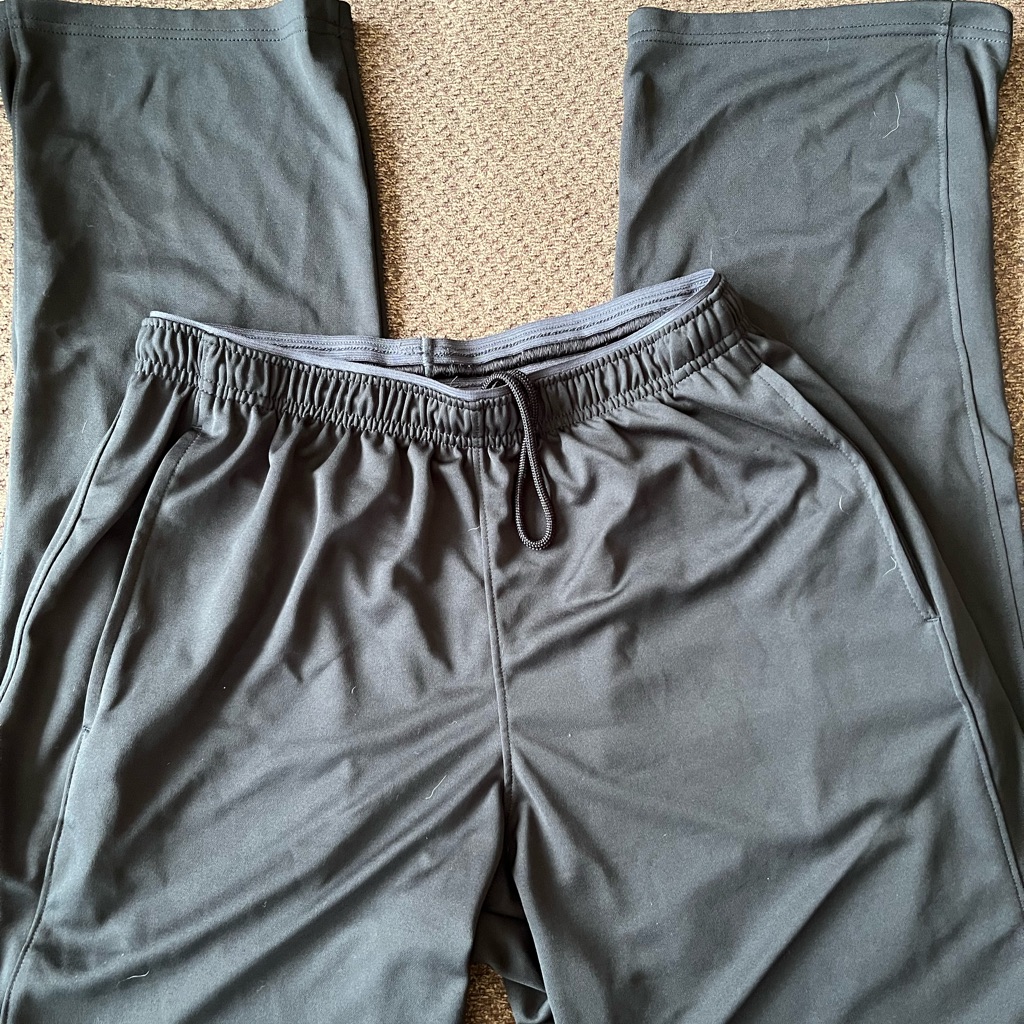 Men&acirc;s Hanes Sport Athletic Pants